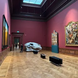 Museum of Fine Arts (KMSKA) - Antwerp