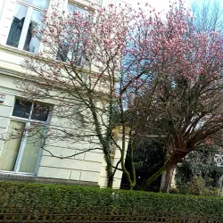 Zurenborg District - Antwerp