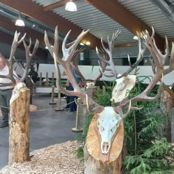 Local Festivals and Events - Bertrix