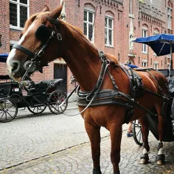 Beguinage (Begijnhof) - Brugge