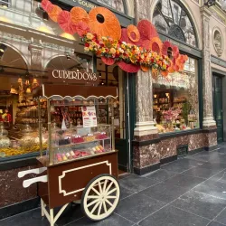 Galeries Royales Saint-Hubert - Brussels