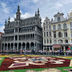 Museum of the City of Brussels (Maison du Roi) - Brussels