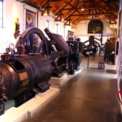 Bois du Cazier - Charleroi