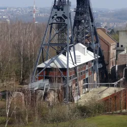 Bois du Cazier - Charleroi