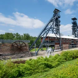 Bois du Cazier - Charleroi