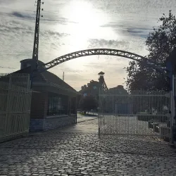 Bois du Cazier - Charleroi