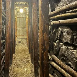 Bois du Cazier - Charleroi