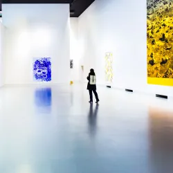 BPS22 - Museum of Contemporary Art - Charleroi