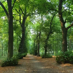Parc de la Serna - Charleroi
