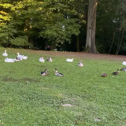 Parc de la Serna - Charleroi