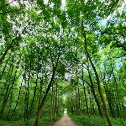 Parc de la Serna - Charleroi