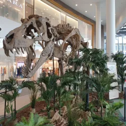 Rive Gauche Shopping Center - Charleroi