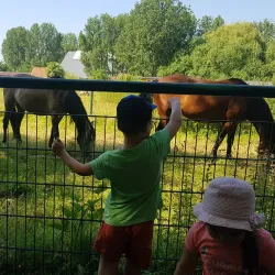 Parc du Lion - Comines-Warneton