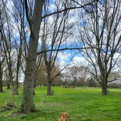 Parc du Lion - Comines-Warneton