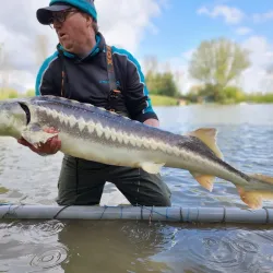 The Lys River - Comines-Warneton