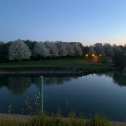 The Lys River - Comines-Warneton