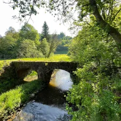 Ravel Pathways - Court-St.-Etienne