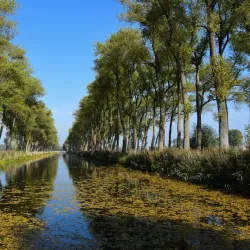 Canals of Damme - Damme