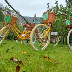 Cycling Routes Around Damme - Damme