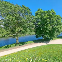 Damme Windmill (Sint-Janshuismolen) - Damme