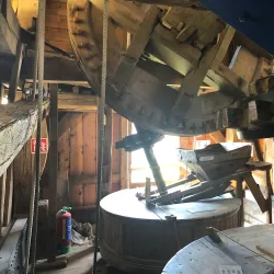 Damme Windmill (Sint-Janshuismolen) - Damme