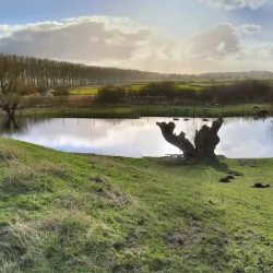 The Old City Walls - Damme