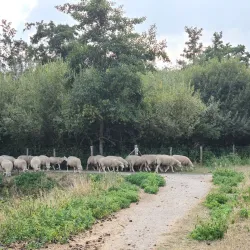 The Old City Walls - Damme