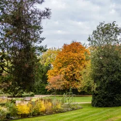 City Park (Stadspark) - Dendermonde