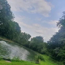 City Park (Stadspark) - Dendermonde