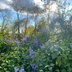 Dender River Walks - Dendermonde