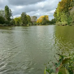 Dender River Walks - Dendermonde