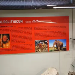 Dendermonde Museum - Dendermonde