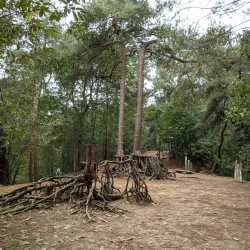 Hoge Mouw Tower - Diest