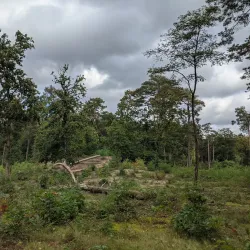 Hoge Mouw Tower - Diest