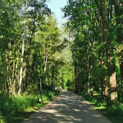 Nature Reserve De Averegten - Diest