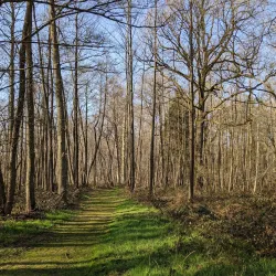 Nature Reserve De Averegten - Diest