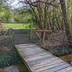 Nature Reserve De Averegten - Diest