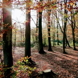 Nature Reserve De Averegten - Diest