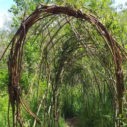 Nature Reserve De Averegten - Diest