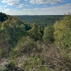 Cycling Routes in Dilsen-Stokkem - Dilsen-Stokkem