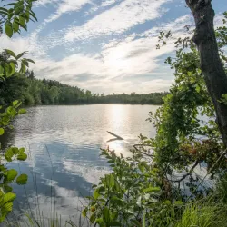 De Wijers Nature Reserve - Dilsen-Stokkem