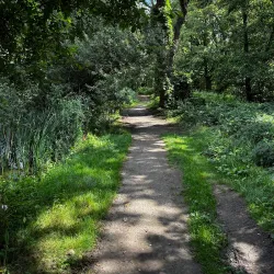 De Wijers Nature Reserve - Dilsen-Stokkem