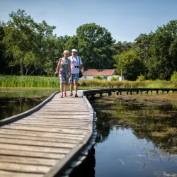 De Wijers Nature Reserve - Dilsen-Stokkem