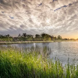 De Wijers Nature Reserve - Dilsen-Stokkem