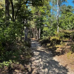 De Wijers Nature Reserve - Dilsen-Stokkem