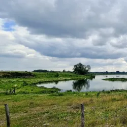 Maas River - Dilsen-Stokkem