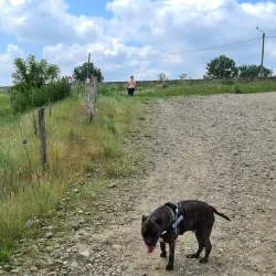 Maas River - Dilsen-Stokkem