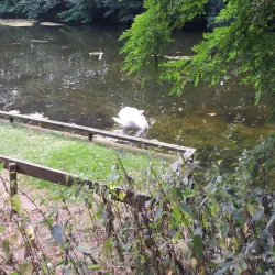 Maas River - Dilsen-Stokkem