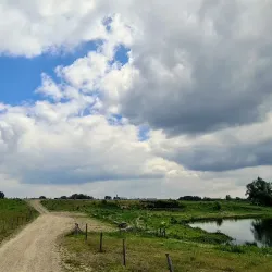 Maas River - Dilsen-Stokkem