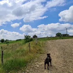 Maas River - Dilsen-Stokkem